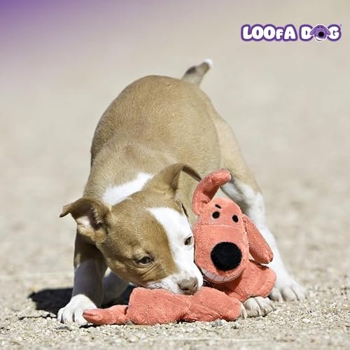 Mini Loofa Dog Toy 6-Inch – Soft, Squeaky, Assorted Colors - Image 8