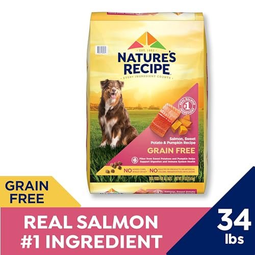 Grain Free Salmon & Sweet Potato Dog Food with Pumpkin, 34 lb Bag - Image 2