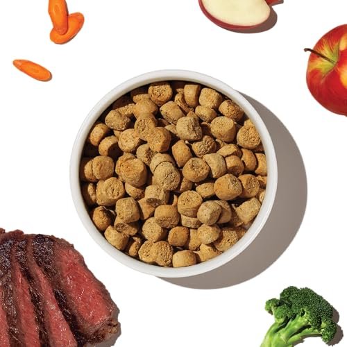 Grain-Free Beef Dog Food Clusters by The Honest Kitchen, 5 lb Bag - Image 5