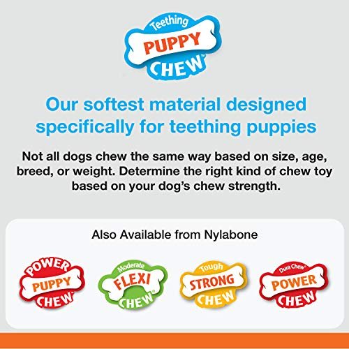 Nylabone Teething Ring for Puppies – Chicken Flavor Chew Toy Small - Image 2