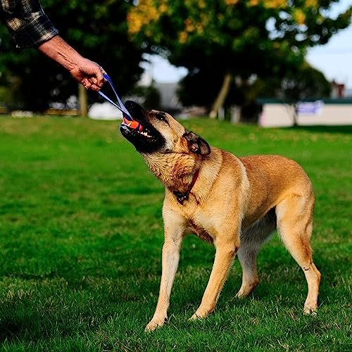 Chuckit! Ultra Tug Dog Toy: Durable Interactive Fetch Ball for Medium Dogs - Image 2
