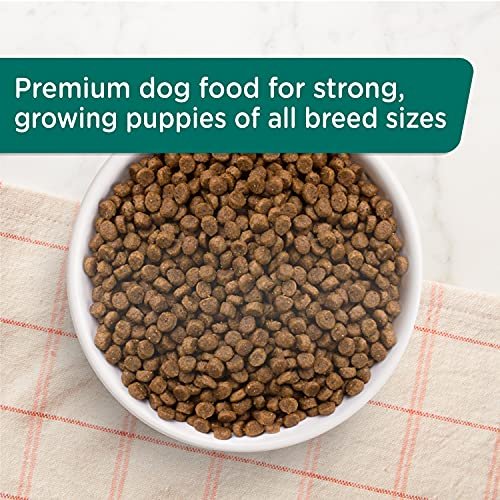 Rachael Ray Bright Puppy Dry Dog Food with Chicken & Brown Rice, 14 lb - Image 4