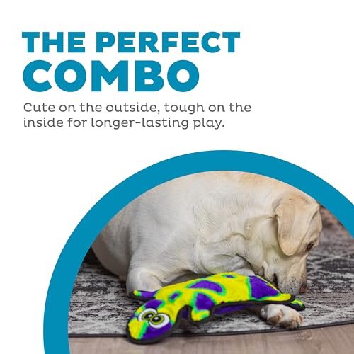 Outward Hound Durablez Squeaky Gecko Dog Toy - Durable No-Stuffing Plush Large - Image 2