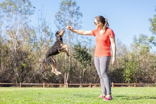 Chuckit! Dog Birthday Fetch Ball, Medium Durable Tough Interactive Pet Toy - Image 5