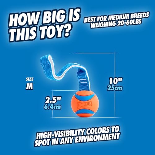 Chuckit! Ultra Tug Dog Toy: Durable Interactive Fetch Ball for Medium Dogs - Image 4