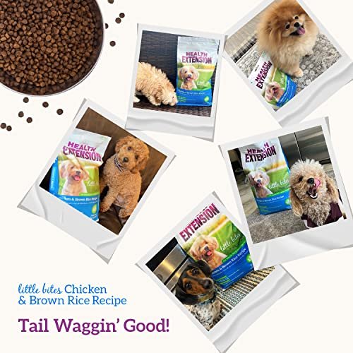 Health Extension Little Bites Chicken & Rice Small Dog Food 4lb – Natural, with Probiotics & Superfoods - Image 8