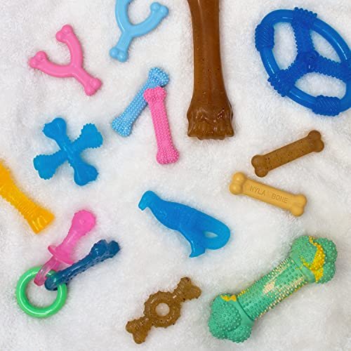 Nylabone Teething Ring for Puppies – Chicken Flavor Chew Toy Small - Image 5
