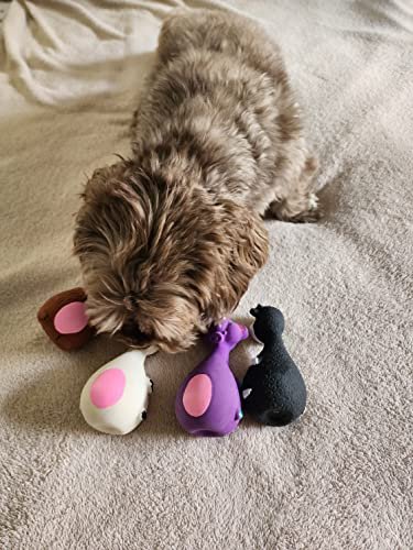 Interactive Dog Squeaky Toys: Durable Eco-Friendly Chew Toys for Small Dogs - Image 5