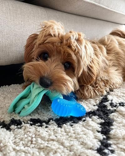 Freezer Puppy Teething Toy – Small Peanut Butter Chew for Puppies - Image 2