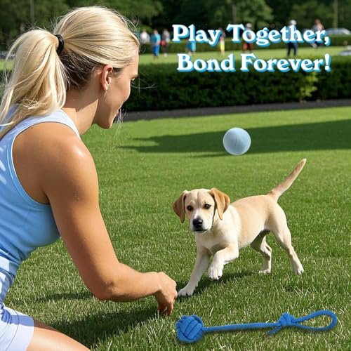 Puppy Teething Toys Bundle: 20 Durable Blue Chew Toys for Small Dogs - Image 5