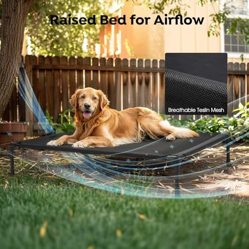 Veehoo Elevated Large Dog Bed: Cooling Mesh, Waterproof, 2-Dog Comfort Zone - Image 6