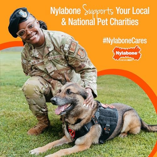Nylabone Lobster Chew Toy for Small Aggressive Chewers, Filet Mignon - Image 12