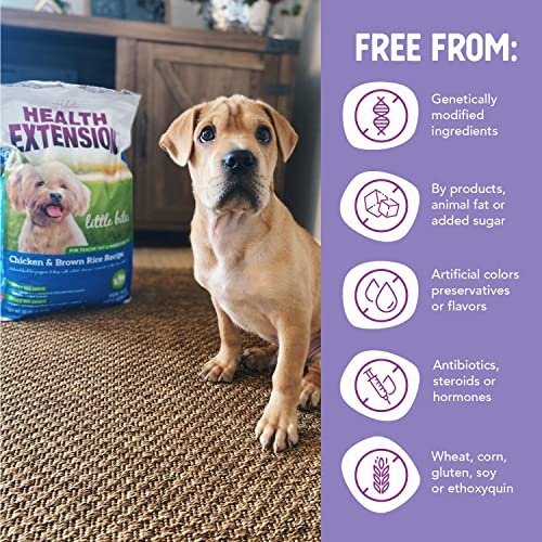 Health Extension Little Bites Chicken & Rice Small Dog Food 4lb – Natural, with Probiotics & Superfoods - Image 6