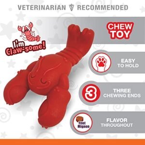 Nylabone Lobster Power Chew Toy for Dogs, Dog Toys for Aggressive Chewers, Filet Mignon Flavor, Small Dogs - Up to 25 Ibs, 1 Count