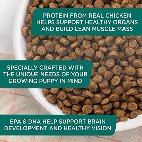 Rachael Ray Bright Puppy Dry Dog Food with Chicken & Brown Rice, 14 lb - Image 7