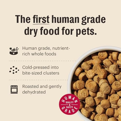 Grain-Free Beef Dog Food Clusters by The Honest Kitchen, 5 lb Bag - Image 3