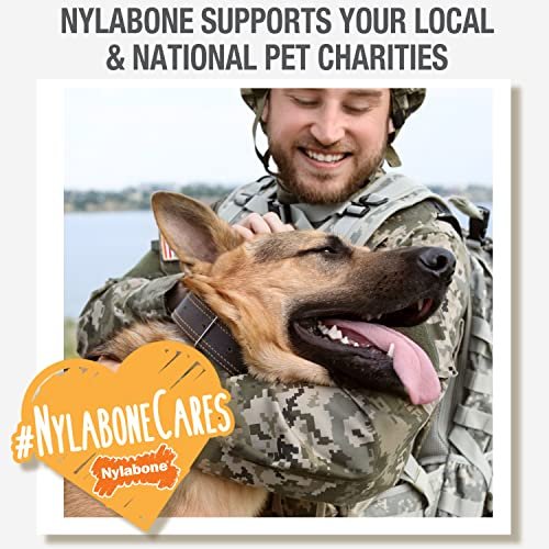 Nylabone Natural Dog Chews Roast Beef Flavor, Long Lasting, 4-Pack - Image 10