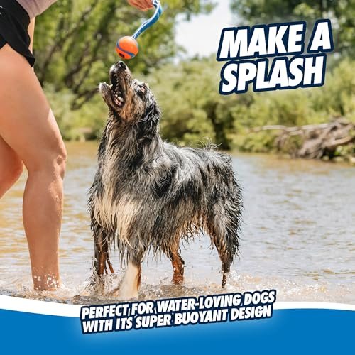 Chuckit! Ultra Tug Dog Toy: Durable Interactive Fetch Ball for Medium Dogs - Image 5
