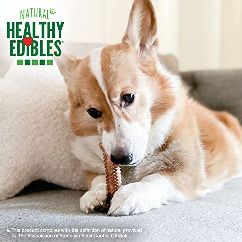 Nylabone Natural Dog Chews Roast Beef Flavor, Long Lasting, 4-Pack - Image 6