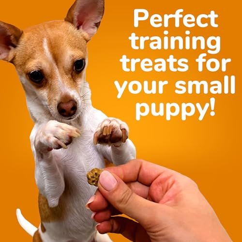 Fruitables Skinny Minis Pumpkin & Berry Soft Dog Training Treats 5oz - Image 3