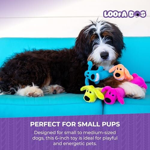 Mini Loofa Dog Toy 6-Inch – Soft, Squeaky, Assorted Colors - Image 7
