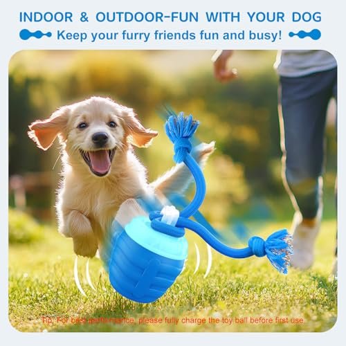 Huimpet Motion Activated Dog Ball Toy – USB Rechargeable, Squeaky & Rolling - Image 2