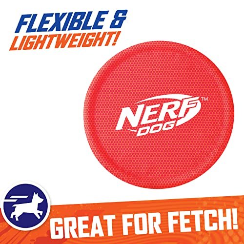Nerf Dog Flying Disc Toy: Durable Outdoor Frisbee for Medium/Large Dogs, Beach & Pool Fun - Image 4