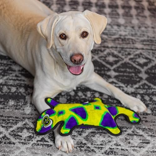 Outward Hound Durablez Squeaky Gecko Dog Toy - Durable No-Stuffing Plush Large - Image 5