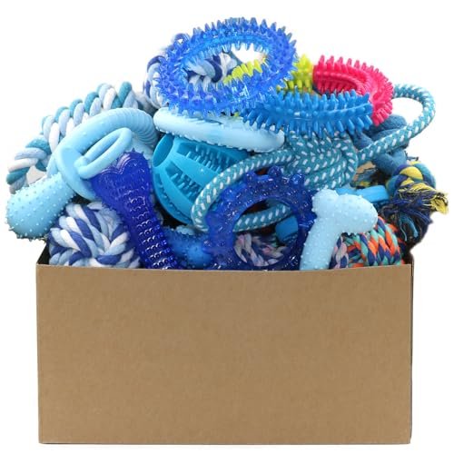 Beiker 20 Pack Puppy Chew Toys - Blue Dog Teething Toys for Puppies, Puppy Teething Rings and Durable Ropes, Blue Rubber Toy Bundle for Small Dogs, Cute Interactive Dog Balls for Small Breed