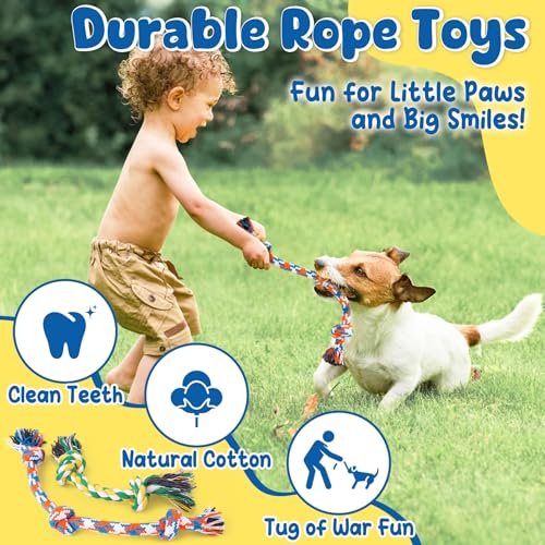 KIPRITII 9-Pack Squeaky Puppy Toys for Small Dogs – No-Stuffing Plush Chew Toys for Teething & Interactive Play - Image 4