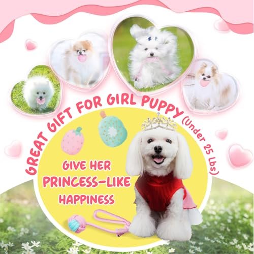 Puppy Chew Toys 23-Pack: Interactive Teething Relief, Squeaky Balls & Ropes - Image 2