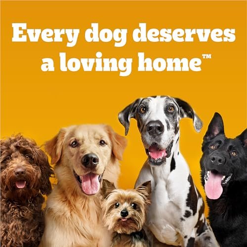 PEDIGREE Wet Dog Food Variety Pack in Gravy, 18 Soft Meaty Pouches - Image 11