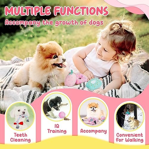 Puppy Chew Toys 23-Pack: Interactive Teething Relief, Squeaky Balls & Ropes - Image 4