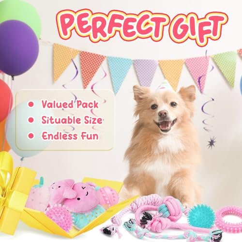 Puppy Chew Toys 23-Pack: Interactive Teething Relief, Squeaky Balls & Ropes - Image 7