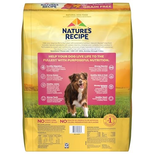 Grain Free Salmon & Sweet Potato Dog Food with Pumpkin, 34 lb Bag - Image 3