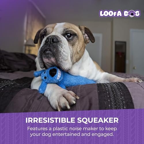 Mini Loofa Dog Toy 6-Inch – Soft, Squeaky, Assorted Colors - Image 5
