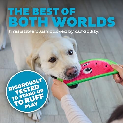 Durable Squeaky Dog Toy – Tough Watermelon Design, Medium Size - Image 3