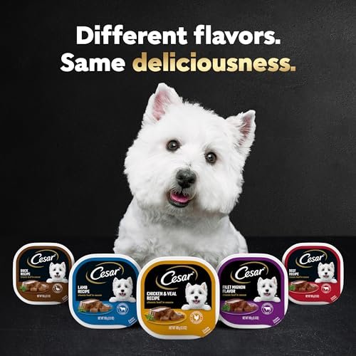 Cesar Wet Dog Food Variety Pack, 24 Easy Peel Trays, 4 Flavors - Image 7