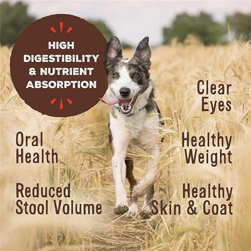 Primal Chicken Freeze-Dried Dog Food: Grain-Free High-Protein Raw Nuggets - Image 3