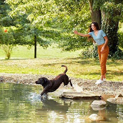 Grain Free Salmon & Sweet Potato Dog Food with Pumpkin, 34 lb Bag - Image 6
