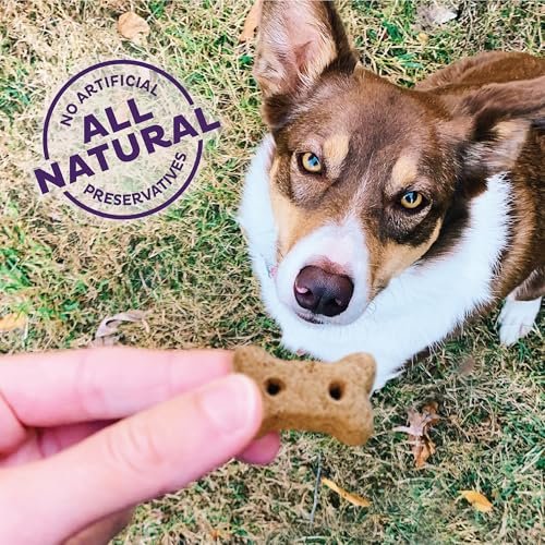 Old Mother Hubbard Mini Peanut Butter Dog Treats, 20oz Natural Biscuits - Image 4