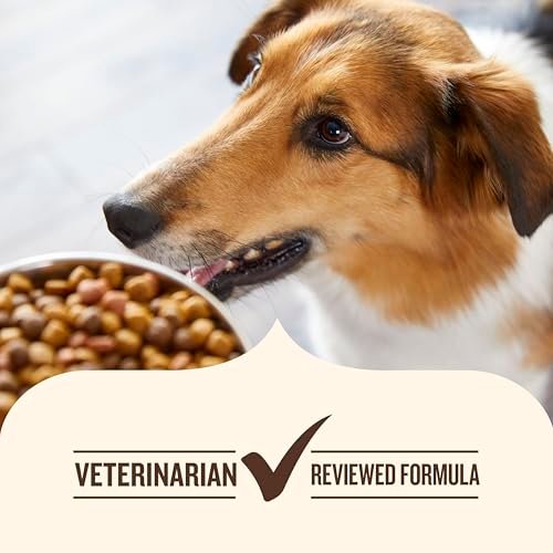 Nutrish Large Breed Chicken & Veggie Adult Dog Food - Healthy Nutrition, 40 lb - Image 7