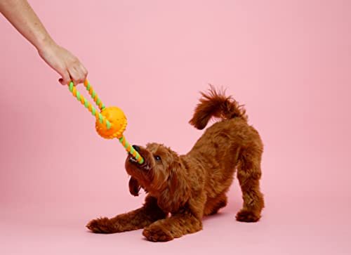 Bacon-Scented Dog Chew Toy | Durable Medium Large Breed Dog Toy | Long-Lasting - Image 6