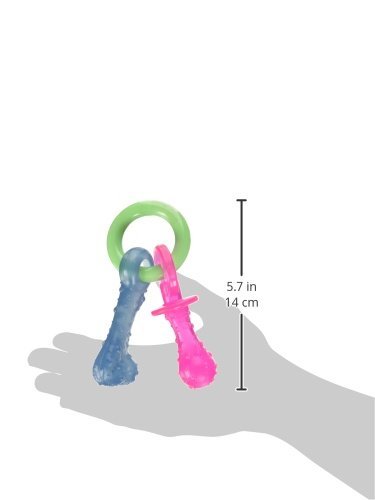 Puppy Teething Relief Chew Toy | Bacon Flavor Nylabone Pacifier | Small Breed - Image 3