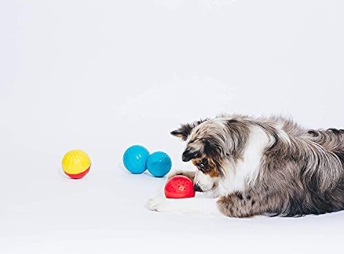 Talking Dog Ball Toy with Animal Sounds - Interactive Chew Therapy Toy - Image 5