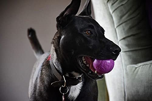 Durable Dog Fetch Balls | Interactive Chew King Toy for All Breeds - Image 7