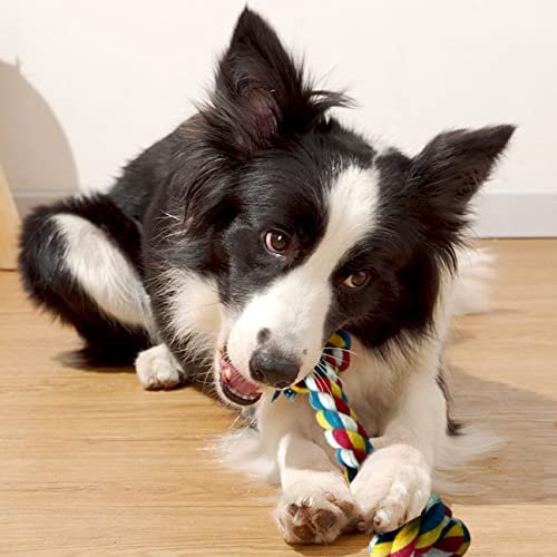 Durable 12" Knotted Rope Chew Toy for Large Dogs – Tough & Fun - Image 3