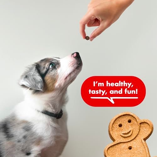 Buddy Biscuits Beef Training Treats: Soft Chewy Dog Reward Snacks, 10oz - Image 4