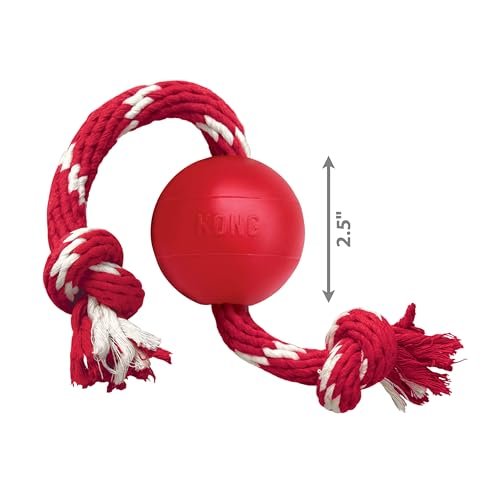 KONG Red Rubber Ball with Rope for Small Dogs – Durable Fetch Toy - Image 4