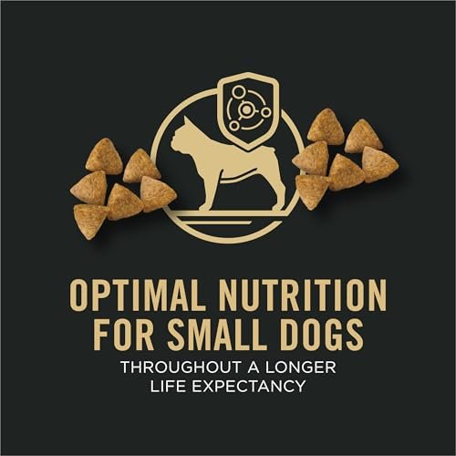 High-Protein Small Breed Dog Food: Chicken & Rice Nutrition for Active Pets - Image 2